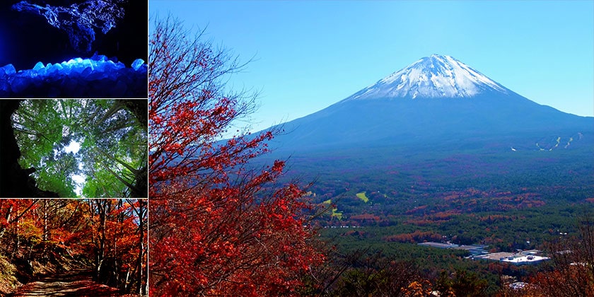 山梨・鳴沢エリアの人気スポット