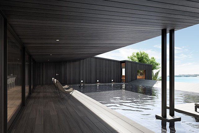 Terrace / Pool