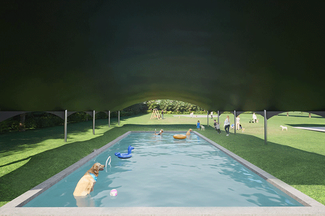 Common facilities : Pool for dogs