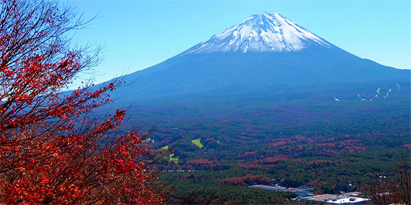 近隣の人気スポット：紅葉台