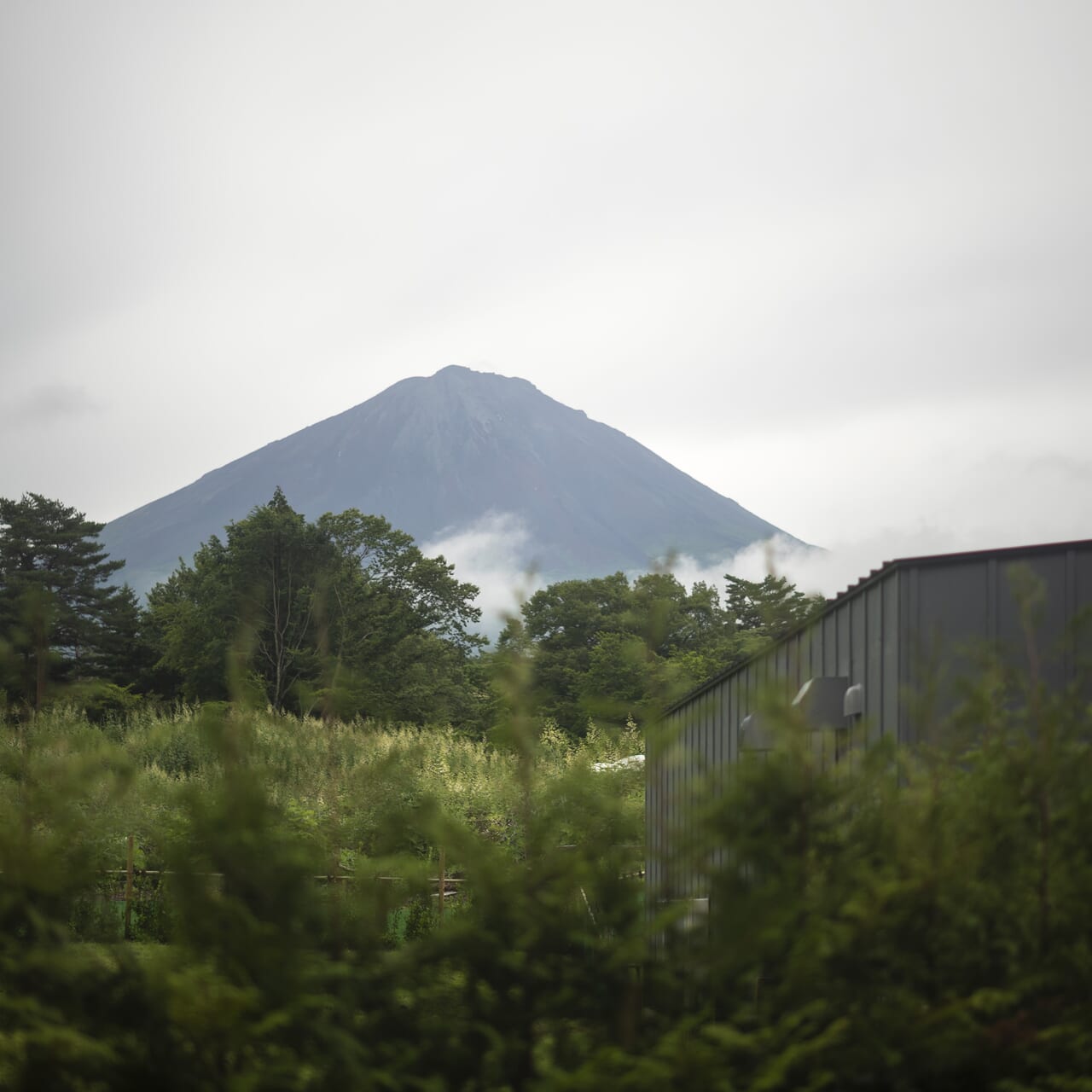 コテージからは迫力満点の富士山ビュー
